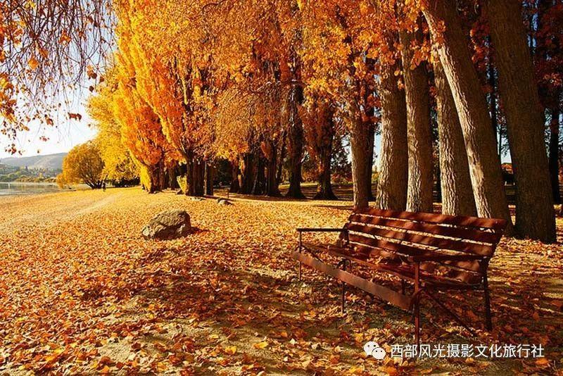 高原之宝(08402):唐继德辞任独立非执行董事